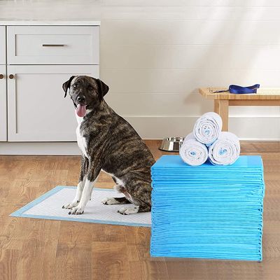 ผ้าอ้อมสุนัขสำหรับสัตว์เลี้ยง Super Absorbent Cat Training Pee Pads Healthy Clean Wet Mat Disposable Dog Diaper Training Pad