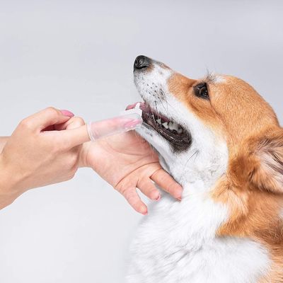 แปรงซิลิโคน สุนัข ทำความสะอาด เครื่องมือ ทำความสะอาดฟัน สุนัข การดูแลช่องปาก Finger Pet Toothbrush