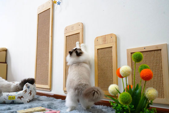 Sisal Wall Mounted Cat Scratcher Post Place ชั้น 40 * 30 ซม. 30 * 76 ซม. 40 * 120 ซม