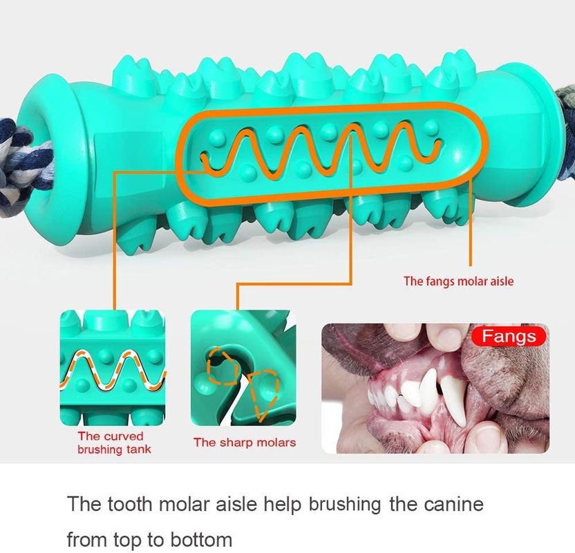 ของเล่นเคี้ยวยางปลอดสารพิษสำหรับการงอกของฟันลูกสุนัข 15-30 ปอนด์ สุนัข ปรับปรุงสุขอนามัยทางทันตกรรม