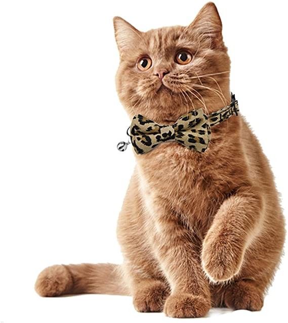 Breakaway Buckle Cat Collar Bells พร้อมหูกระต่ายน่ารักสำหรับสุนัขขนาดเล็ก Kitty ปรับได้