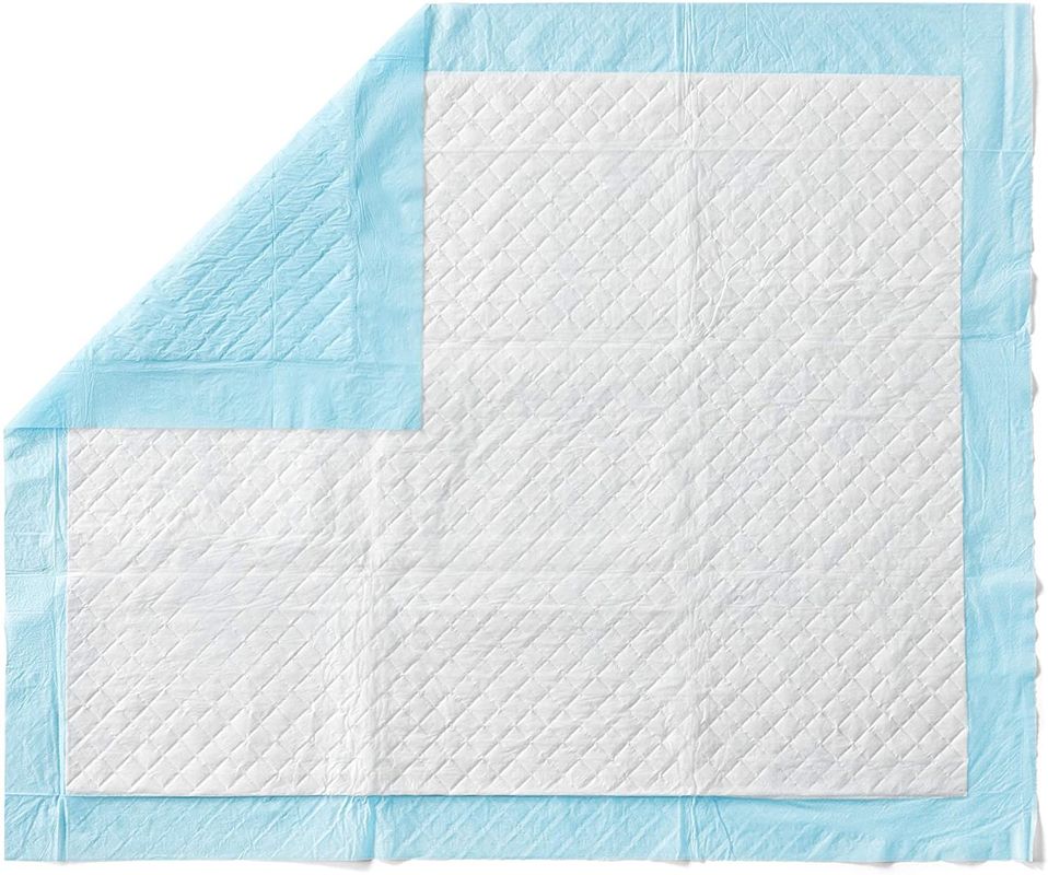 ผ้าอ้อมสุนัขสำหรับสัตว์เลี้ยง Super Absorbent Cat Training Pee Pads Healthy Clean Wet Mat Disposable Dog Diaper Training Pad