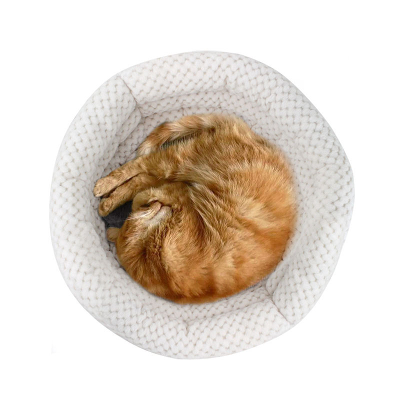2021 ขายส่ง Cuddle Cup Shape Cat และ Dog Bed สัตว์เลี้ยงเตียงที่มีกำแพงสูงสำหรับ Deep Sleep Washable Pet House