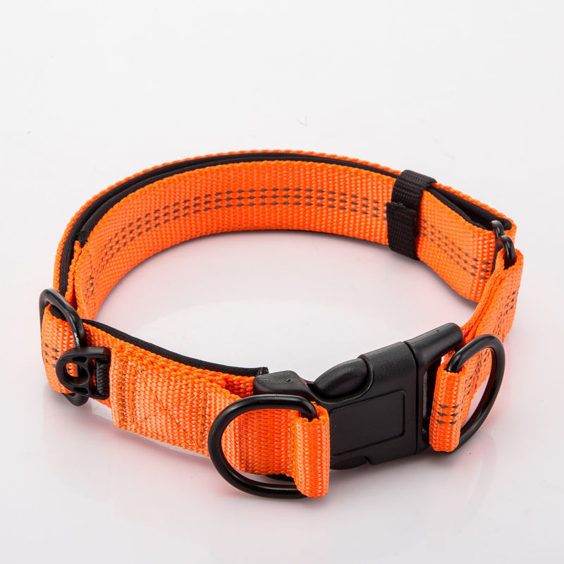 ปรับได้ Double D Buckles ปลอกคอสุนัขและสายจูงชุดโซ่ สุนัข Nylon Lead Reflective