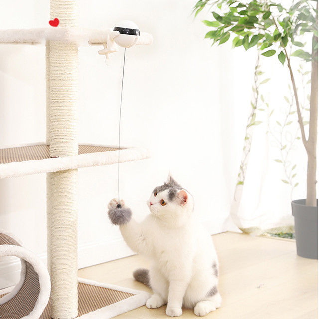 Interactive Electronic Auto Lift Ball Cat ของเล่นสำหรับสัตว์เลี้ยง Funny Stick Cat Teaser Toy