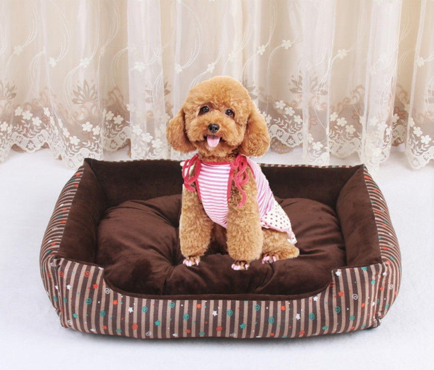 Hallupets ที่ถอดออกได้ขนาดใหญ่สบายสัตว์เลี้ยงเตียง Xl ขนาด 1580g Luxury Dog Houses