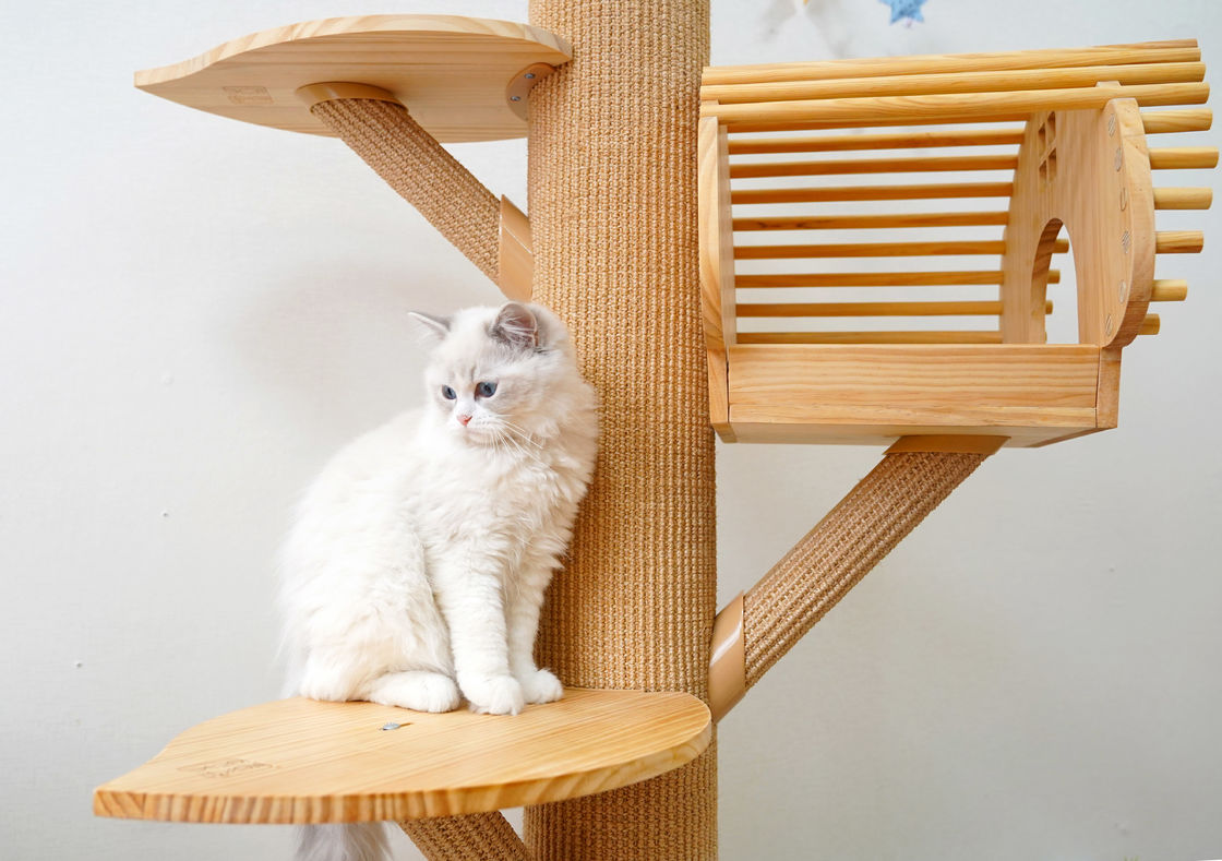 ไม้ทึบขนาดใหญ่ 123 ซม. แมวปีนต้นไม้ Cat กิจกรรมทาวเวอร์พร้อมเสาเกา