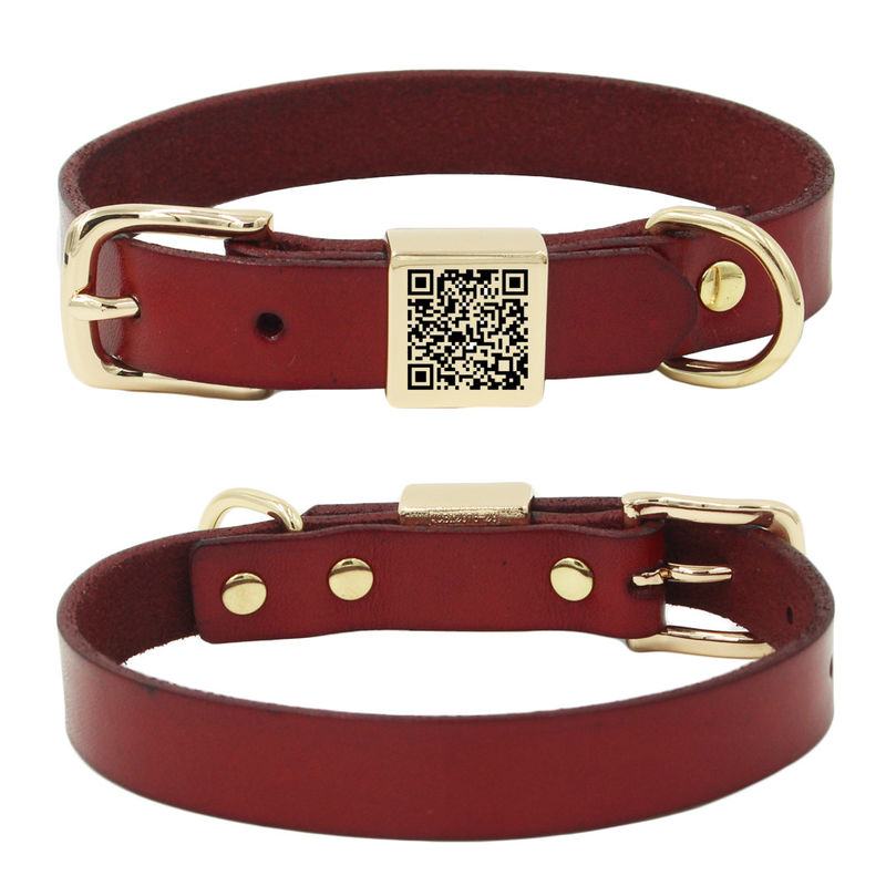 สลักโลหะผสมสแควร์ปลอกคอ Leash Harness ชุดปลอกคอ Cowhide ปลอกคอสุนัข