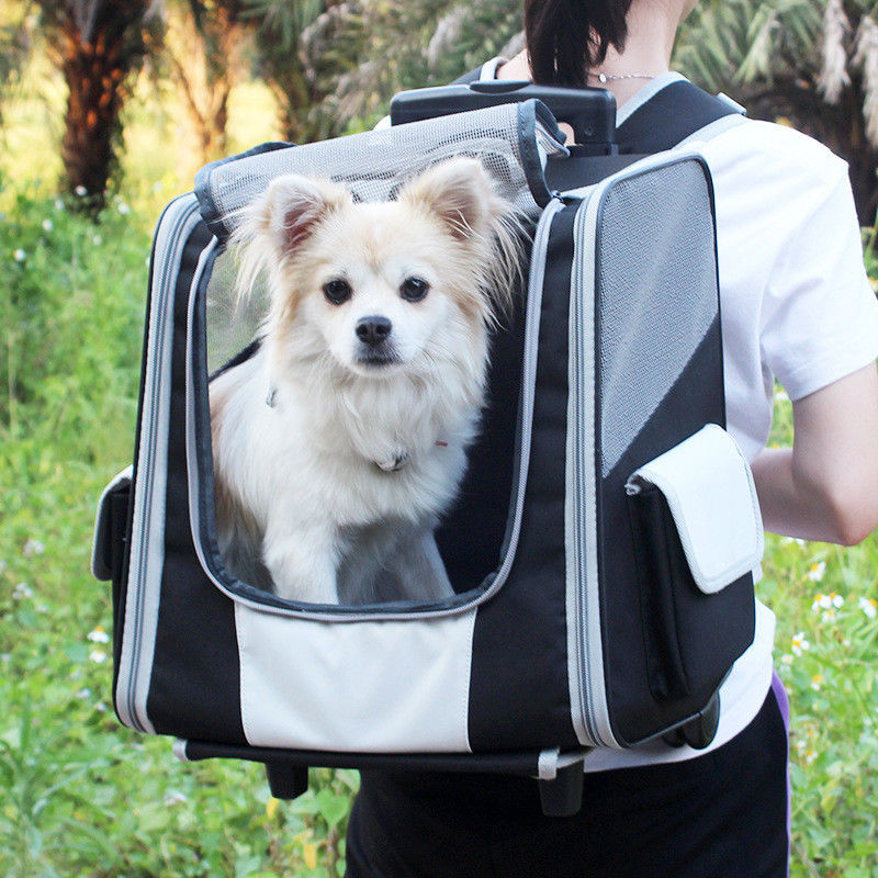 Telescopic Handle Pet Travel Carrier Backpack รถเข็นสำหรับสุนัขและแมวขนาดเล็ก