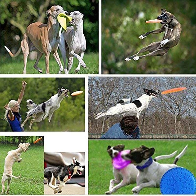 ซิลิกาเจลสุนัขกลางแจ้ง Flying Disk Dog Fetch Training Toy