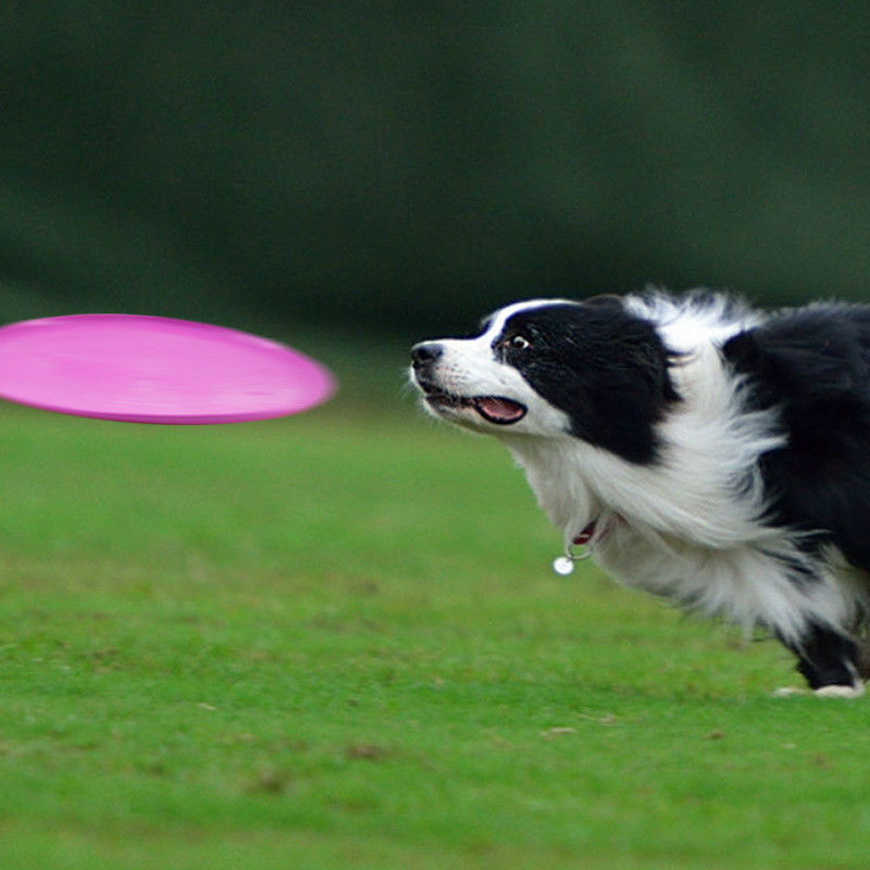 ซิลิกาเจลสุนัขกลางแจ้ง Flying Disk Dog Fetch Training Toy