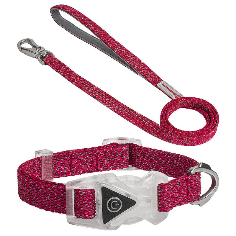 Led Dog Pet Collars Leash Set เชือกไนล่อนตกแต่งปรับได้ สายจูงสุนัข สายจูงสุนัขสะท้อนแสง