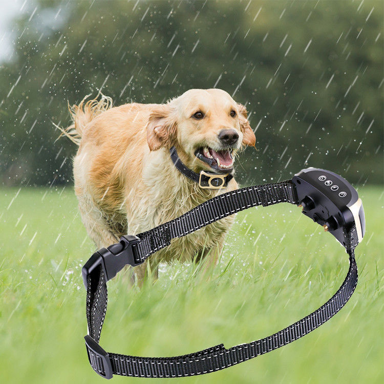 นวัตกรรมการควบคุมผลิตภัณฑ์ฝึกสัตว์เลี้ยง No Bark Dog Training Shock Collars