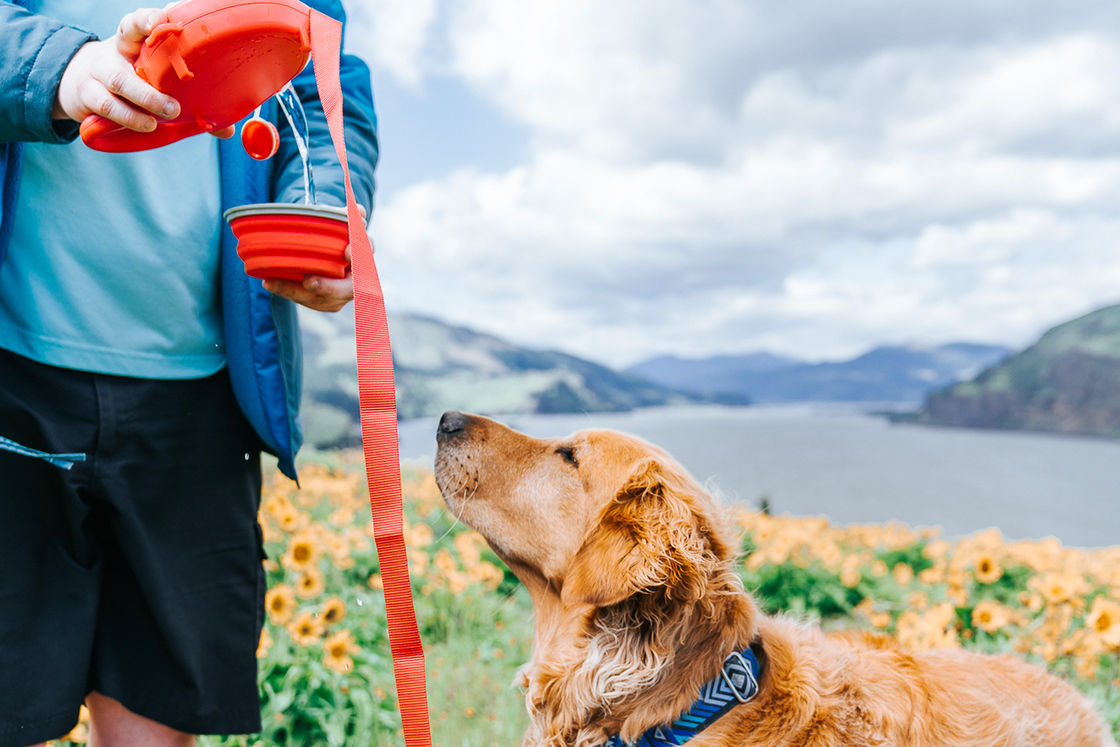 2021 BSCI Leash Dog น้ำดื่มขวด 5 In 1 Dog Leash พร้อมขวดน้ำ