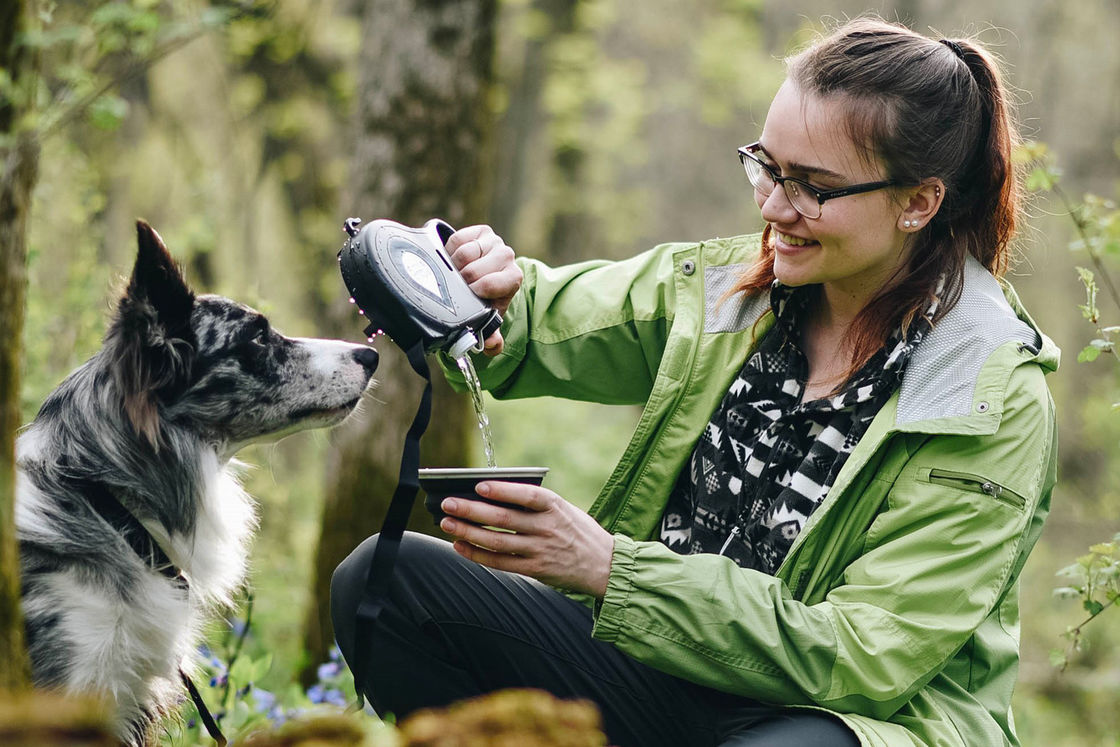SEDEX Dogs Travel ขวดน้ำชามออกแบบ All In One Dog Leash