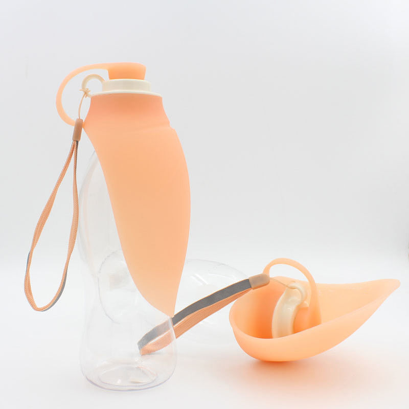 580ml 20OZ Leaf Leak Proof Pet Water Dispenser Bottle