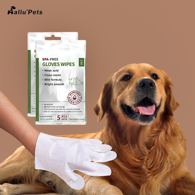 5 PCS Disposable No Rinse ถุงมือทำความสะอาดสัตว์เลี้ยงสำหรับใบหน้าหู Paws และ Butt
